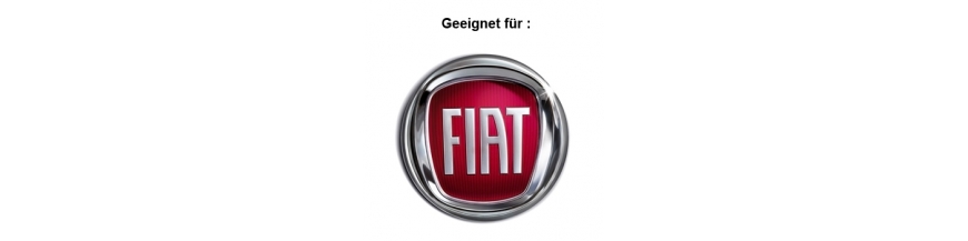 Türgriffe passend für Fiat | Ersatzteil